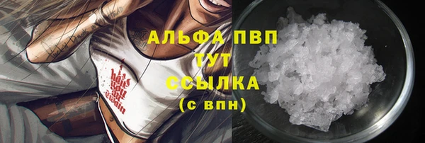 гидра Карталы