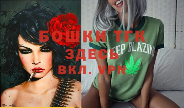 дмт Аркадак