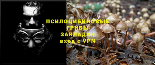 дмт Аркадак